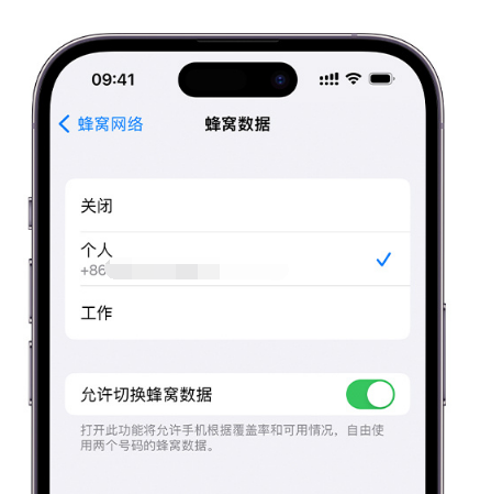 娄底苹果维修服务分享如何在iPhone上使用双卡 